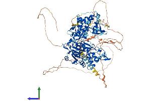 AlphaFold protein structure predicition of Human Recombinant DNMT3A Protein, UniprotID Q9Y6K1 (DNMT3A Protein (AA 1-912) (His tag))