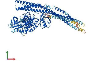 AlphaFold protein structure predicition of Mouse Recombinant Tbk1 Protein, UniprotID Q9WUN2 (TBK1 Protein (AA 1-729) (His tag))