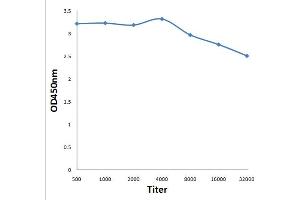 Antigen: 0. (PAX6 antibody  (AA 51-150))