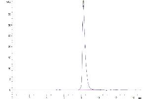 The purity of Mouse SEMA7A is greater than 95 % as determined by SEC-HPLC. (SEMA7A Protein (AA 45-646) (His tag))
