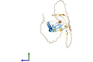 Protein Structure (PS) image for Ring Finger Protein 212 (RNF212) (AA 1-307) protein (His tag) (ABIN7562143)