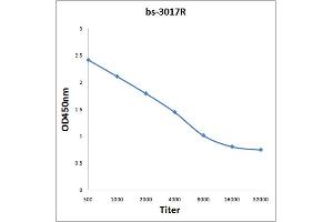 Antigen: 0. (PDPK1 antibody  (pTyr373, pTyr376))