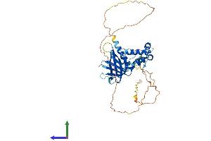 Protein Structure (PS) image for Sprouty-Related, EVH1 Domain Containing 2 (SPRED2) (AA 1-418) protein (His tag) (ABIN7546308)