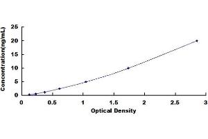 STAT5A ELISA Kit