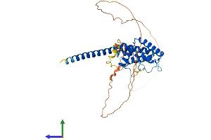 AlphaFold protein structure predicition of Mouse Recombinant Spatc1l Protein, UniprotID Q9D9W0 (C21ORF56 Protein (AA 1-342) (His tag))