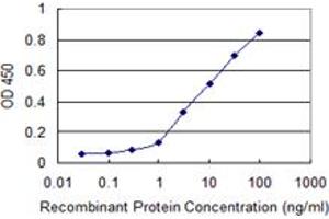 Detection limit for recombinant GST tagged MAPK13 is 0. (MAPK13 antibody  (AA 251-365))