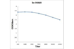 Antigen: 2 µg/100 µL  Primary: Antiserum, 1:500, 1:1000, 1:2000, 1:4000, 1:8000, 1:16000, 1:32000;  Secondary: HRP conjugated Rabbit Anti-Goat IgG at 1: 5000;  TMB staining Read the data in Microplate Reader by 450nm. (AMPK gamma 1/2/3 (AA 280-330) antibody)