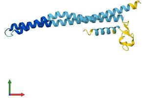 Protein Structure (PS) image for Tryptophan Rich Basic Protein (WRB) (AA 1-174) protein (His tag) (ABIN7545180)
