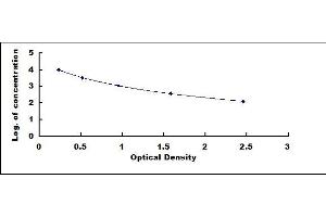 Typical standard curve (AMH ELISA Kit)