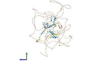 AlphaFold protein structure predicition of Human Recombinant ATXN7 Protein, UniprotID O15265 (ATXN7 Protein (AA 1-892) (His tag))