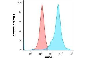 Flow Cytometric Analysis of HEK293 cells using Neurofilament Monoclonal Antibody (RT-97 + NR-4) followed by goat anti-Mouse IgG-CF488 (Blue); Isotype control (Red). (NEFH & NEFL antibody)