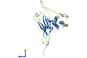 AlphaFold protein structure predicition of Human Recombinant C19orf67 Protein, UniprotID A6NJJ6