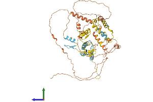 AlphaFold protein structure predicition of Human Recombinant ZIM2 Protein, UniprotID Q9NZV7