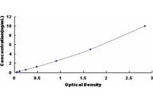 Typical standard curve (DDX5 ELISA Kit)