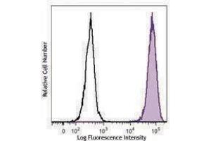 Flow Cytometry (FACS) image for anti-G Protein-Coupled Receptor MRGX2 (MRGPRX2) antibody (PE) (ABIN2662809) (MRGPRX2 antibody  (PE))