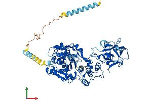 Protein Structure (PS) image for Williams-Beuren Syndrome Chromosome Region 17 (WBSCR17) (AA 1-598) protein (His tag) (ABIN7548030)
