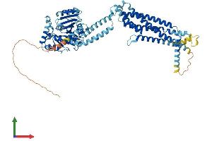 AlphaFold protein structure predicition of Human Recombinant MX1 Protein, UniprotID P20591