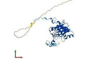 AlphaFold protein structure predicition of Human Recombinant DTWD2 Protein, UniprotID Q8NBA8