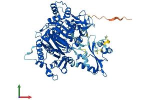 AlphaFold protein structure predicition of Human Recombinant AACS Protein, UniprotID Q86V21
