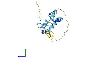 AlphaFold protein structure predicition of Human Recombinant ZNHIT3 Protein, UniprotID Q15649 (ZNHIT3 Protein (AA 1-155) (His tag))