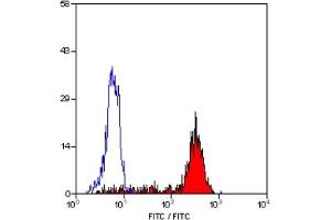 Staining of human peripheral blood monocytes with MOUSE ANTI HUMAN CD14:FITC (CD14 antibody  (FITC))