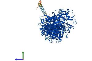 Protein Structure (PS) image for Ectonucleotide pyrophosphatase/phosphodiesterase 3 (ENPP3) (AA 1-875) protein (His tag) (ABIN7553821)