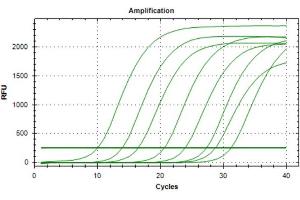 Polymerase Chain Reaction (PCR) image for Vascular Endothelial Growth Factor (VEGF) IQ-ELISA Kit (ABIN5680039) (VEGF IQ-ELISA Kit)