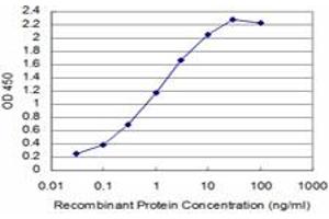 Detection limit for recombinant GST tagged SIX4 is approximately 0. (SIX4 antibody  (AA 672-780))