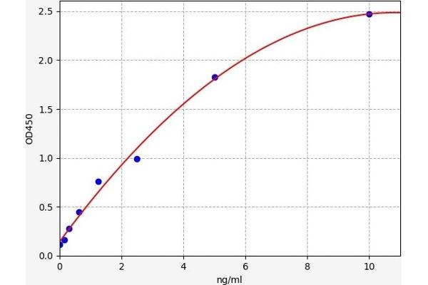 CDK1 ELISA Kit