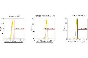 Flow Cytometry (FACS) image for anti-CNDP Dipeptidase 2 (Metallopeptidase M20 Family) (CNDP2) (AA 1-475) antibody (APC) (ABIN5565179) (CNDP2 antibody  (AA 1-475) (APC))
