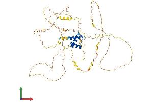 AlphaFold protein structure predicition of Human Recombinant IRX5 Protein, UniprotID P78411 (IRX5 Protein (AA 1-483) (His tag))