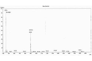 Image no. 3 for Angiotensin 1-7 peptide (Ovalbumin) (ABIN5666078) (Angiotensin 1-7 peptide (Ovalbumin))