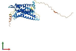 Protein Structure (PS) image for Angiotensin II Receptor, Type 1 (AGTR1) (AA 1-359) protein (His tag) (ABIN7551961)