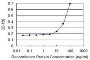 Detection limit for recombinant GST tagged B4GAT1 is 3 ng/ml as a capture antibody. (B3GNT1 antibody  (AA 316-415))