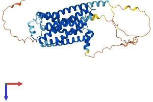 ADRB3 Protein (AA 1-400) (His tag)