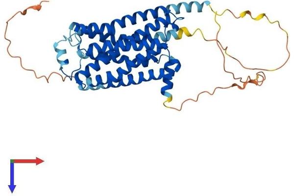 ADRB3 Protein (AA 1-400) (His tag)