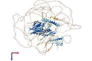 AlphaFold protein structure predicition of Mouse Recombinant Kif24 Protein, UniprotID Q6NWW5