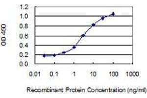 Detection limit for recombinant GST tagged NFKBIE is 0. (NFKBIE antibody  (AA 403-498))