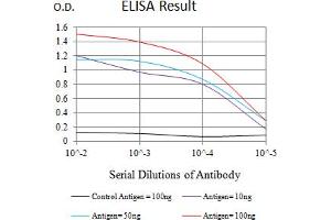 Black line: Control Antigen (100 ng),Purple line: Antigen (10 ng), Blue line: Antigen (50 ng), Red line:Antigen (100 ng) (TNFRSF4 antibody  (AA 29-214))
