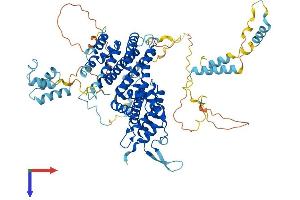 ASCC2 Protein (AA 1-749) (His tag)