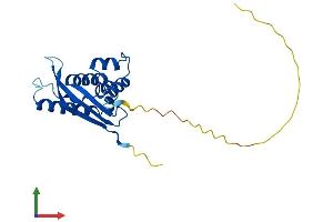 AlphaFold protein structure predicition of Human Recombinant SNX10 Protein, UniprotID Q9Y5X0