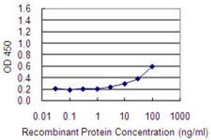 Detection limit for recombinant GST tagged FBXL7 is 1 ng/ml as a capture antibody. (FBXL7 antibody  (AA 392-489))
