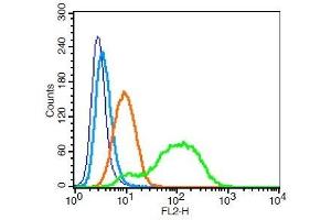 Human U937 cells probed with CD46/MCP Polyclonal Antibody, Unconjugated ( 	 at 1:100 for 30 minutes followed by incubation with a PE Conjugated secondary (green) for 30 minutes compared to control cells (blue), secondary only (light blue) and isotype control (orange). (CD46 antibody  (AA 251-355))