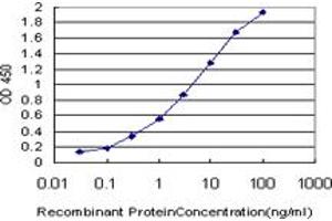 Detection limit for recombinant GST tagged PRKCI is approximately 0. (PKC iota antibody  (AA 1-100))