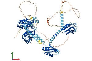 AlphaFold protein structure predicition of Human Recombinant PABPC3 Protein, UniprotID Q9H361 (PABPC3 Protein (AA 1-631) (His tag))