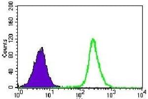 Flow cytometric analysis of K562 cells using PPP2CB mouse mAb (green) and negative control (purple). (PPP2CB antibody)