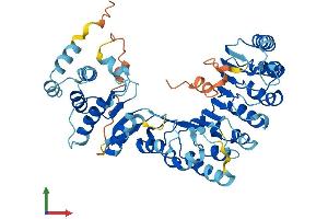 AlphaFold protein structure predicition of Human Recombinant PRAMEF22 Protein, UniprotID A3QJZ6 (PRAMEF22 Protein (AA 1-481) (His tag))