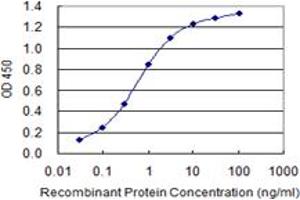 Detection limit for recombinant GST tagged KIT is 0. (KIT antibody  (AA 41-140))