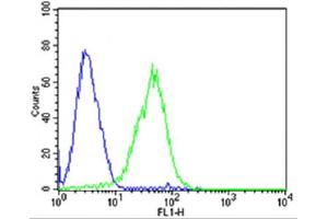 Flow cytometric analysis of HepG2 cells using (Mouse) Dlk1 Antibody (C-term)(green, Cat(ABIN6243158 and ABIN6577630)) compared to an isotype control of mouse IgG2b(blue). (DLK1 antibody  (C-Term))