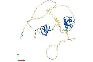 Protein Structure (PS) image for SAM and SH3 Domain Containing 3 (SASH3) (AA 1-380) protein (His tag) (ABIN7551664)